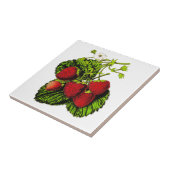Botanische Erdbeerillustration auf Weiß Fliese (Seite)