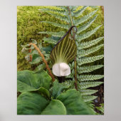 Botanische Fotografie-Pflanze aus Holz Poster (Vorne)
