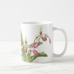 Botanische Frauenschuh-Orchideen-Blumen Floral Kaffeetasse