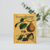 Botanische Frucht Postkarte (Stehend Vorderseite)