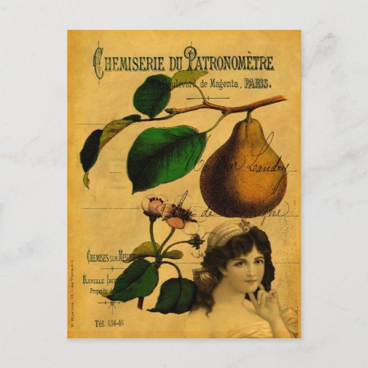 Botanische Frucht Postkarte (Vorderseite)