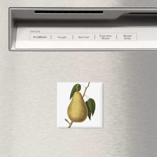 Botanische Fruchtbirne Magnet (In Situ (Geschirrspüler))