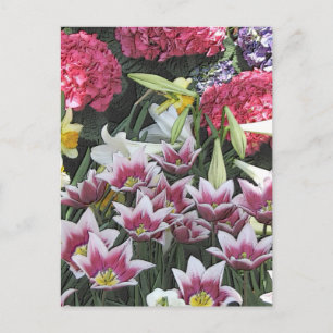 Botanische Gärten: Frühlingsglühbirnen (Pastelleff Postkarte