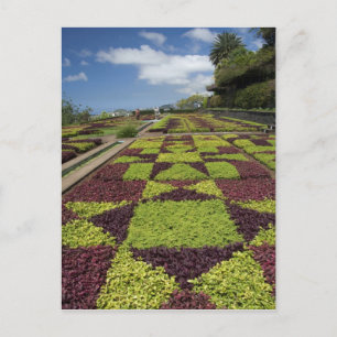 Botanische Gärten, Funchal, Madeira-Inseln, Postkarte