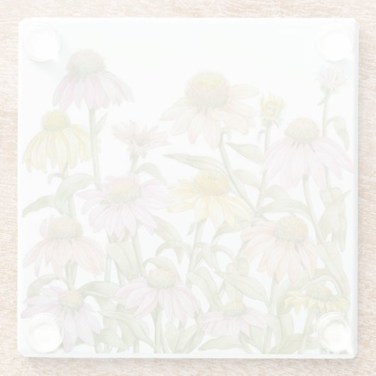 Botanische Garten: Glasuntersetzer (Rückseite)