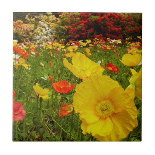 Botanische Gärten im Queens Park Fliese (Vorderseite)
