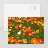 Botanische Gärten Postkarte (Vorne/Hinten)