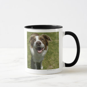 Botanische Gärten, Sydney, New South Wales, 2 Tasse