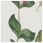 Botanische Geißblatt-Rebe-Blumen-Blumengewebe Stoff (Nahaufnahme)
