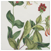 Botanische Geißblatt-Rebe-Blumen-Blumengewebe Stoff (Muster)