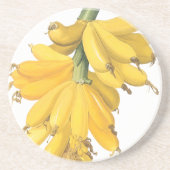 Botanische Gelbananen Getränkeuntersetzer (Vorne)