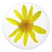 Botanische gelbe Arnika-Wildblume auf irgendeiner Keramikknauf (Vorderseite)