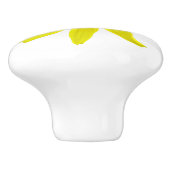 Botanische gelbe Arnika-Wildblume auf irgendeiner Keramikknauf (Seitenansicht)