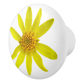 Botanische gelbe Arnika-Wildblume auf irgendeiner Keramikknauf