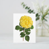 Botanische gelbe Pfingstrose Postkarte (Stehend Vorderseite)