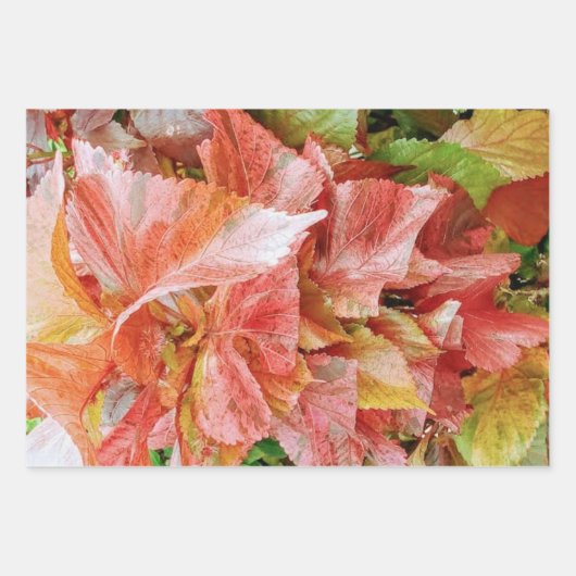 Botanische Geschenkpapier-Blätter Geschenkpapier Set (Vorderseite 3)