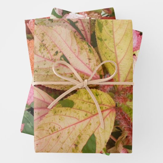 Botanische Geschenkpapier-Blätter Geschenkpapier Set (Beispiel)