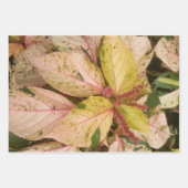 Botanische Geschenkpapier-Blätter Geschenkpapier Set (Vorderseite)