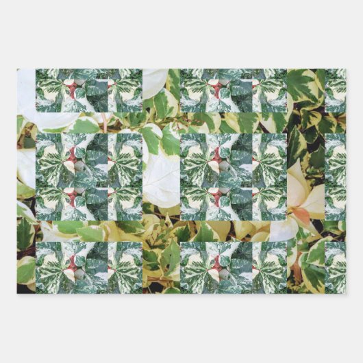 Botanische Geschenkpapier-Blätter Geschenkpapier Set (Vorderseite 3)