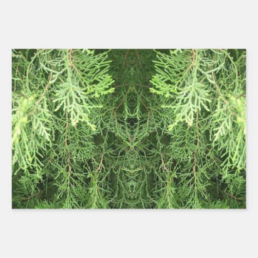 Botanische Geschenkpapier-Blätter Geschenkpapier Set (Vorderseite 2)