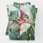 Botanische Geschenkpapier-Blätter Geschenkpapier Set (Beispiel)