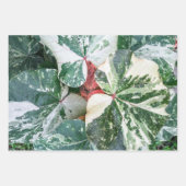 Botanische Geschenkpapier-Blätter Geschenkpapier Set (Vorderseite)