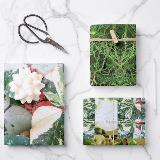 Botanische Geschenkpapier-Blätter Geschenkpapier Set (Vorderseite)
