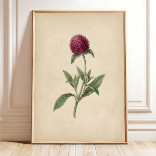 Botanische Globus-Amarant-Druckkunst im Vintage-St Poster