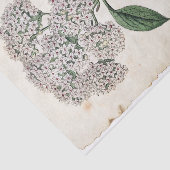 Botanische Golddragonfly-Blume Seidenpapier (Ausschnitt)