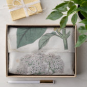 Botanische Golddragonfly-Blume Seidenpapier (Geschenk)