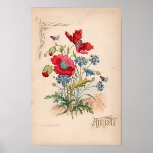 Botanische Gravuren, August Poster