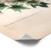 Botanische Gravuren, Dezember Poster (Ecke)
