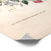 Botanische Gravuren, Juli Poster (Ecke)
