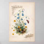 Botanische Gravuren, September Poster (Vorne)