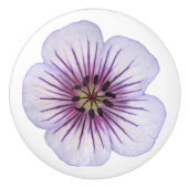 Botanische hellblaue Pelargonie-Blume auf Keramikknauf (Vorderseite)