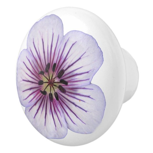 Botanische hellblaue Pelargonie-Blume auf Keramikknauf (Rechts)