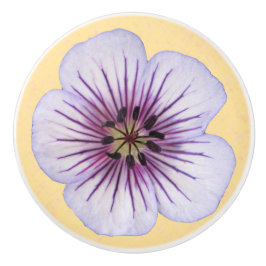 Botanische hellblaue Pelargonie-Blume auf Keramikknauf