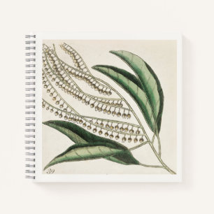 Botanische Illustration 18. Jahrhundert Kunst Noti Notizblock