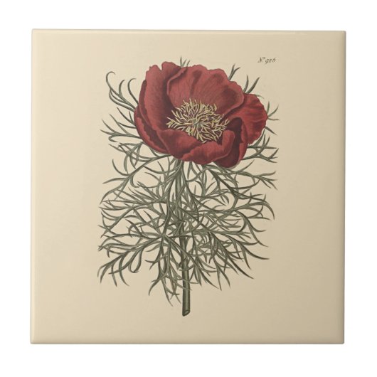 Botanische Illustration aus feinem Blätterteig Fliese (Vorderseite)