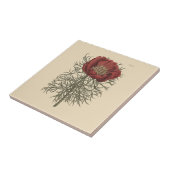 Botanische Illustration aus feinem Blätterteig Fliese (Seite)