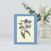 Botanische Illustration "Borage" Postkarte (Stehend Vorderseite)
