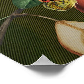 Botanische Illustration Collage Venus Poster (Ecke)