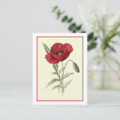 Botanische Illustration "Common Poppy" Postkarte (Stehend Vorderseite)