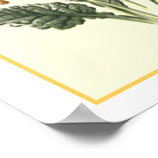 Botanische Illustration "Cowslip" Poster (Ecke)