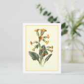 Botanische Illustration "Cowslip" Postkarte (Stehend Vorderseite)