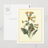 Botanische Illustration "Cowslip" Postkarte (Vorne/Hinten)
