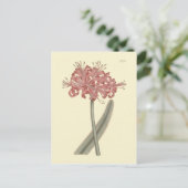 Botanische Illustration der Graublättrigen Amaryll Postkarte (Stehend Vorderseite)
