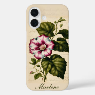 Botanische Illustration der Prunkwinde iPhone 16 Hülle