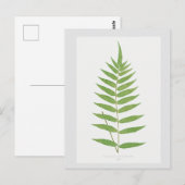 Botanische Illustration des Fern Leaf Postkarte (Vorne/Hinten)