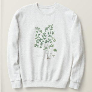 Botanische Illustration des Frauenhaarfarns im Vin Sweatshirt